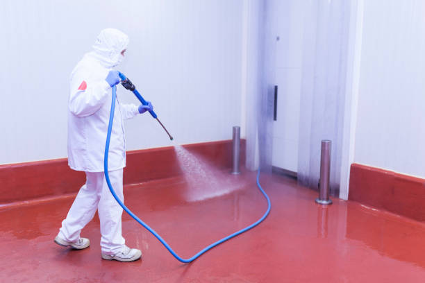 Pre-Holiday Cleaning in Hilton, NY